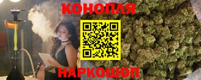 гашик Кулебаки