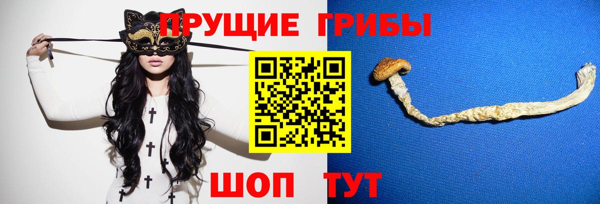 Шадринск  Галлюциногенные грибы MAGIC MUSHROOMS  Вход с VPN  Галлюциногенные грибы MAGIC MUSHROOMS 